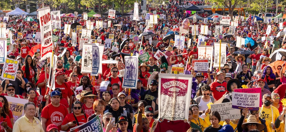 UTLA Store